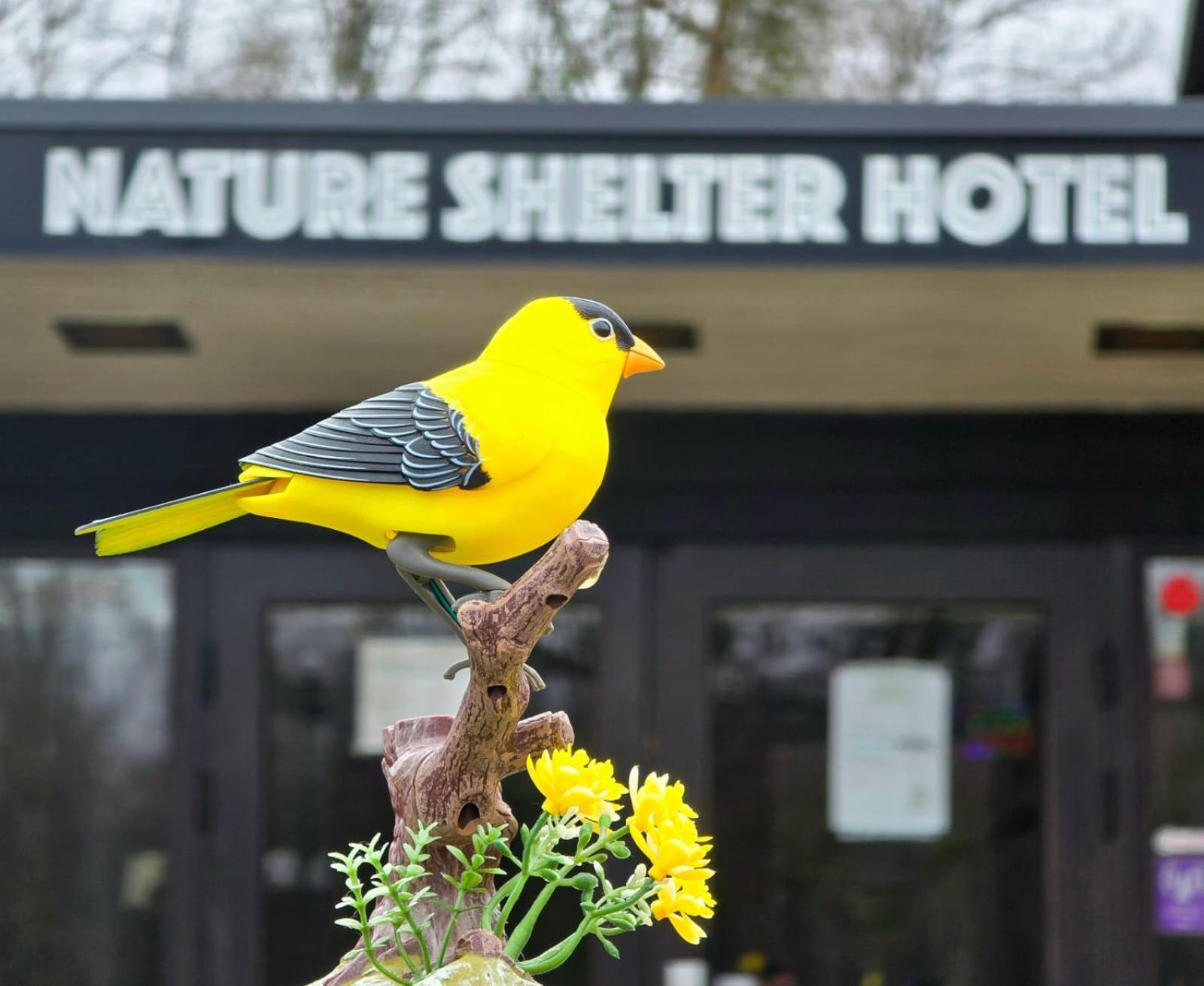 Nature Shelter Hotel Asljunga Экстерьер фото